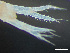  ( - HMSC174-03360)  @11 [ ] by-nc-sa  Unspecified Huntsman Marine Science Centre