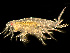  ( - HMSC174-03430)  @11 [ ] by-nc-sa  Unspecified Huntsman Marine Science Centre