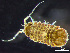  ( - HMSC174-03663)  @11 [ ] by-nc-sa  Unspecified Huntsman Marine Science Centre