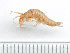  ( - HMSC174-03708)  @11 [ ] by-nc-sa  Unspecified Huntsman Marine Science Centre