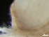  ( - HMSC174-03764)  @11 [ ] by-nc-sa  Unspecified Huntsman Marine Science Centre
