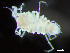  ( - HMSC174_04000)  @11 [ ] by-nc-sa  Unspecified Huntsman Marine Science Centre