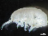  ( - HMSC174_04006)  @11 [ ] by-nc-sa  Unspecified Huntsman Marine Science Centre