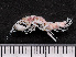  ( - HMSC174-04113)  @11 [ ] by-nc-sa  Unspecified Huntsman Marine Science Centre