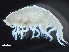  ( - HMSC174-04120)  @11 [ ] by-nc-sa  Unspecified Huntsman Marine Science Centre