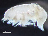 ( - HMSC174-04121)  @11 [ ] by-nc-sa  Unspecified Huntsman Marine Science Centre