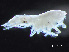  ( - HMSC174-04122)  @11 [ ] by-nc-sa  Unspecified Huntsman Marine Science Centre