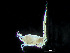  ( - HMSC174-04210)  @11 [ ] by-nc-sa  Unspecified Huntsman Marine Science Centre