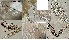  ( - HMSC174-04270)  @11 [ ] by-nc-sa  Unspecified Huntsman Marine Science Centre