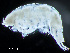  ( - HMSC174-04317)  @11 [ ] by-nc-sa  Unspecified Huntsman Marine Science Centre