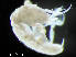  ( - HMSC174-04336)  @11 [ ] by-nc-sa  Unspecified Huntsman Marine Science Centre