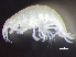  ( - HMSC174-00467)  @11 [ ] by-nc-sa  Unspecified Huntsman Marine Science Centre