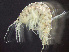  ( - HMSC174-00534)  @11 [ ] by-nc-sa  Unspecified Huntsman Marine Science Centre
