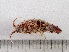  ( - HMSC174-00676)  @11 [ ] by-nc-sa  Unspecified Huntsman Marine Science Centre