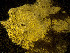  ( - HMSC174_01201)  @11 [ ] by-nc-sa  Unspecified Huntsman Marine Science Centre