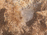  ( - GM2024_27)  @11 [ ] CreativeCommons - Attribution Share-Alike  Unspecified Huntsman Marine Science Centre