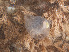  ( - GM2024_28)  @11 [ ] CreativeCommons - Attribution Share-Alike  Unspecified Huntsman Marine Science Centre