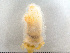  ( - HMSC174-00136)  @11 [ ] by-nc-sa  Unspecified Huntsman Marine Science Centre