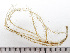  ( - HMSC174_01104)  @11 [ ] by-nc-sa  Unspecified Huntsman Marine Science Centre