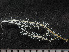  ( - HMSC174_01220)  @11 [ ] by-nc-sa  Unspecified Huntsman Marine Science Centre