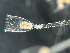  ( - HMSC174-03557)  @11 [ ] by-nc-sa  Unspecified Huntsman Marine Science Centre