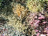  ( - HMSC174_01220)  @11 [ ] by-nc-sa  Unspecified Huntsman Marine Science Centre