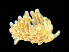  ( - HMSC174_00992)  @11 [ ] by-nc-sa  Unspecified Huntsman Marine Science Centre