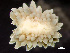  ( - HMSC174_01262)  @11 [ ] by-nc-sa  Unspecified Huntsman Marine Science Centre