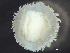  ( - HMSC174-01638)  @11 [ ] by-nc-sa  Unspecified Huntsman Marine Science Centre