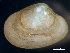  ( - HMSC174_03033)  @11 [ ] by-nc-sa  Unspecified Huntsman Marine Science Centre