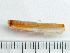  ( - HMSC174_03059)  @11 [ ] by-nc-sa  Unspecified Huntsman Marine Science Centre