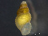  ( - HMSC174_03213)  @11 [ ] by-nc-sa  Unspecified Huntsman Marine Science Centre