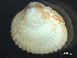  ( - HMSC174_03214)  @11 [ ] by-nc-sa  Unspecified Huntsman Marine Science Centre