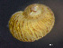  ( - HMSC174_03240)  @11 [ ] by-nc-sa  Unspecified Huntsman Marine Science Centre
