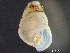  ( - HMSC174_03333)  @11 [ ] by-nc-sa  Unspecified Huntsman Marine Science Centre