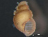  ( - HMSC174-03646)  @11 [ ] by-nc-sa  Unspecified Huntsman Marine Science Centre