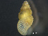  ( - HMSC174_03814)  @11 [ ] by-nc-sa  Unspecified Huntsman Marine Science Centre