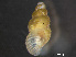  ( - HMSC174_03907)  @11 [ ] by-nc-sa  Unspecified Huntsman Marine Science Centre