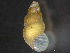  ( - HMSC174_03907)  @11 [ ] by-nc-sa  Unspecified Huntsman Marine Science Centre