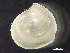  ( - HMSC174-00566)  @11 [ ] by-nc-sa  Unspecified Huntsman Marine Science Centre