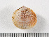  ( - HMSC174-00800)  @11 [ ] by-nc-sa  Unspecified Huntsman Marine Science Centre