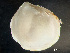  ( - HMSC174-00837)  @11 [ ] by-nc-sa  Unspecified Huntsman Marine Science Centre