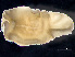  ( - HMSC174_01248)  @11 [ ] by-nc-sa  Unspecified Huntsman Marine Science Centre