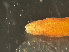  ( - HMSC174-03404)  @11 [ ] by-nc-sa  Unspecified Huntsman Marine Science Centre