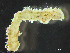  ( - HMSC174_01939)  @11 [ ] by-nc-sa  Unspecified Huntsman Marine Science Centre