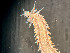  ( - HMSC174_02408)  @11 [ ] by-nc-sa  Unspecified Huntsman Marine Science Centre