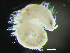  ( - HMSC174_02974)  @11 [ ] by-nc-sa  Unspecified Huntsman Marine Science Centre