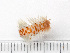  ( - HMSC174_03185)  @11 [ ] by-nc-sa  Unspecified Huntsman Marine Science Centre