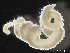  ( - HMSC174-03583)  @11 [ ] by-nc-sa  Unspecified Huntsman Marine Science Centre