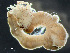  ( - HMSC174_03700)  @11 [ ] by-nc-sa  Unspecified Huntsman Marine Science Centre